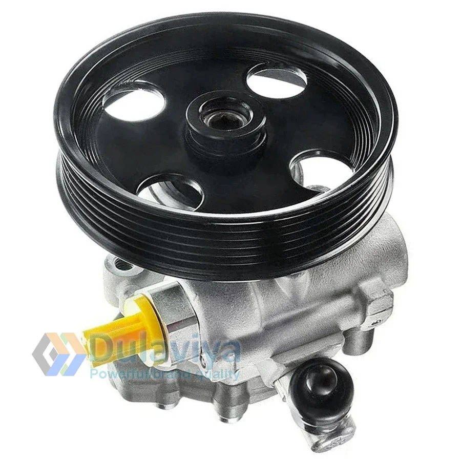 For Mercedes CLK C209 A209/C W204 C204 S204/CLS C219 63 AMG Power Steering Pump a0044669301 0044669301 A 004 466 93 01 A44669301