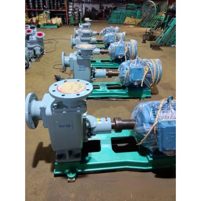 Marine Self-Priming Centrifugal Pump 100cwz-18 Horizontal Self-Priming Centrifugal Pump Marine Centrifugal Pump CCS Certificate