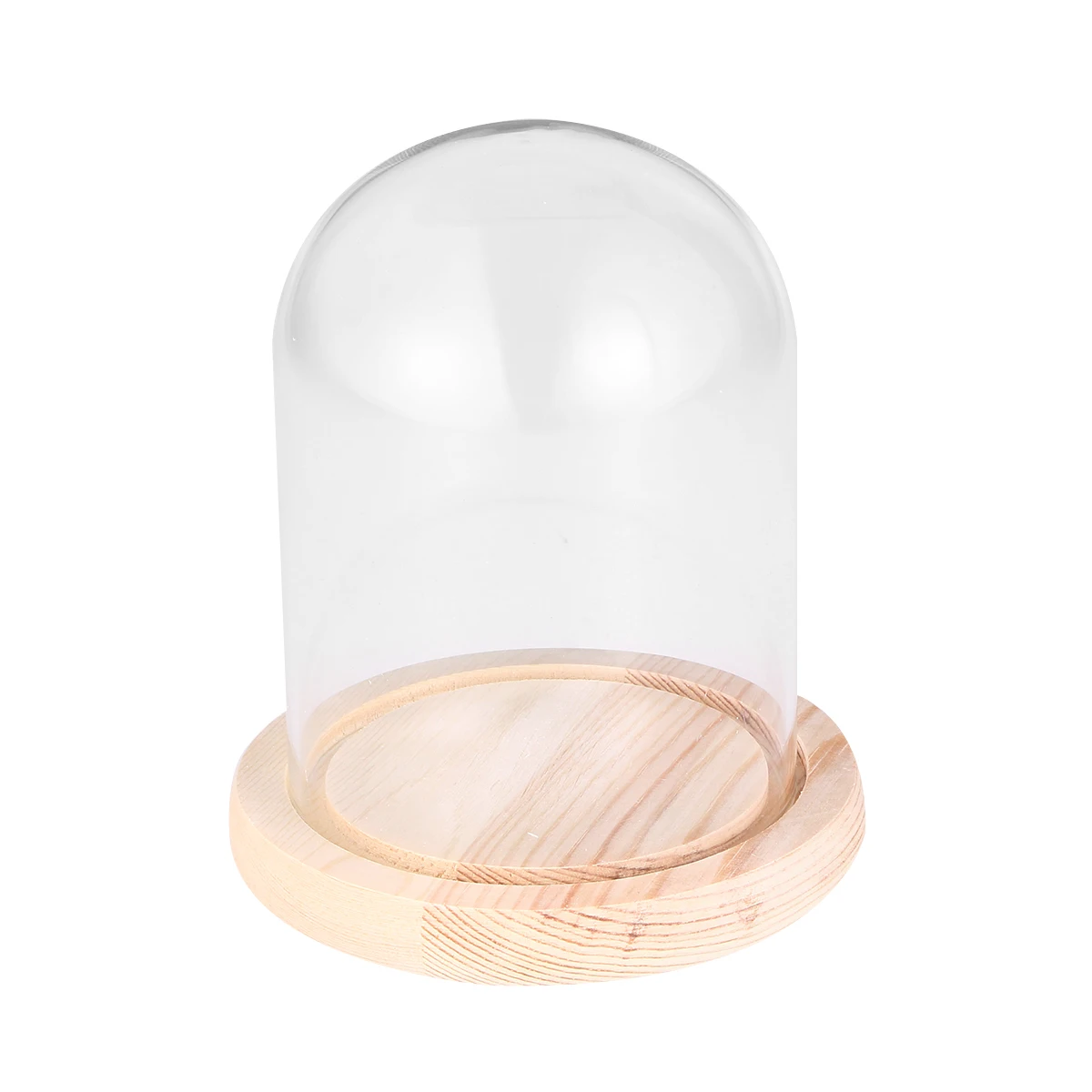 

Glass Dome 9X24cm Transparent Glass Cover Transparent Flower Plants Preserved Portable Storage Container Wooden Long Term Use