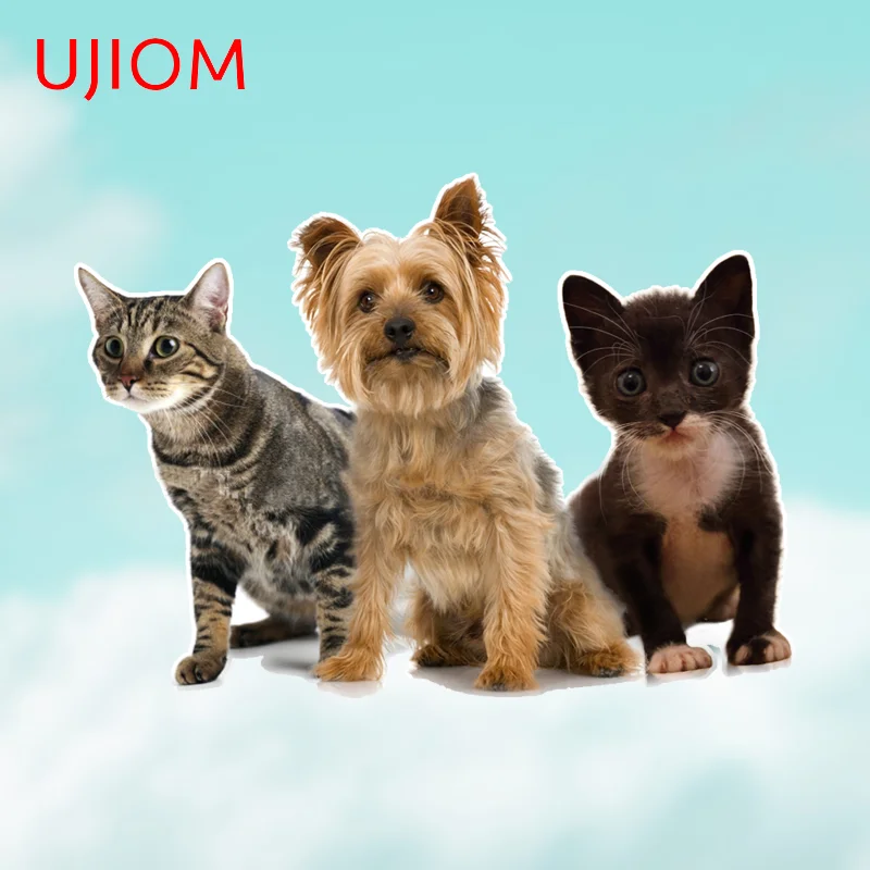 UJIOM Lovely Dog And Cat Wall Stickers Personality Living Room Vinyl Decals Waterproof Sunscreen Windshield House Stickers