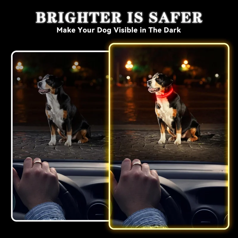 LED Dog Collar Rechargeable Waterproof Reflective Light Up for Night Walking USB Charging Small Medium Large Dogs Medium Red