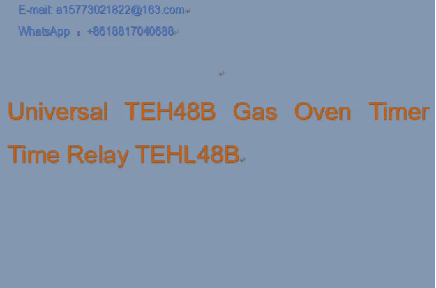 Universal TEH48B Gas Oven Timer Time Relay TEHL48B