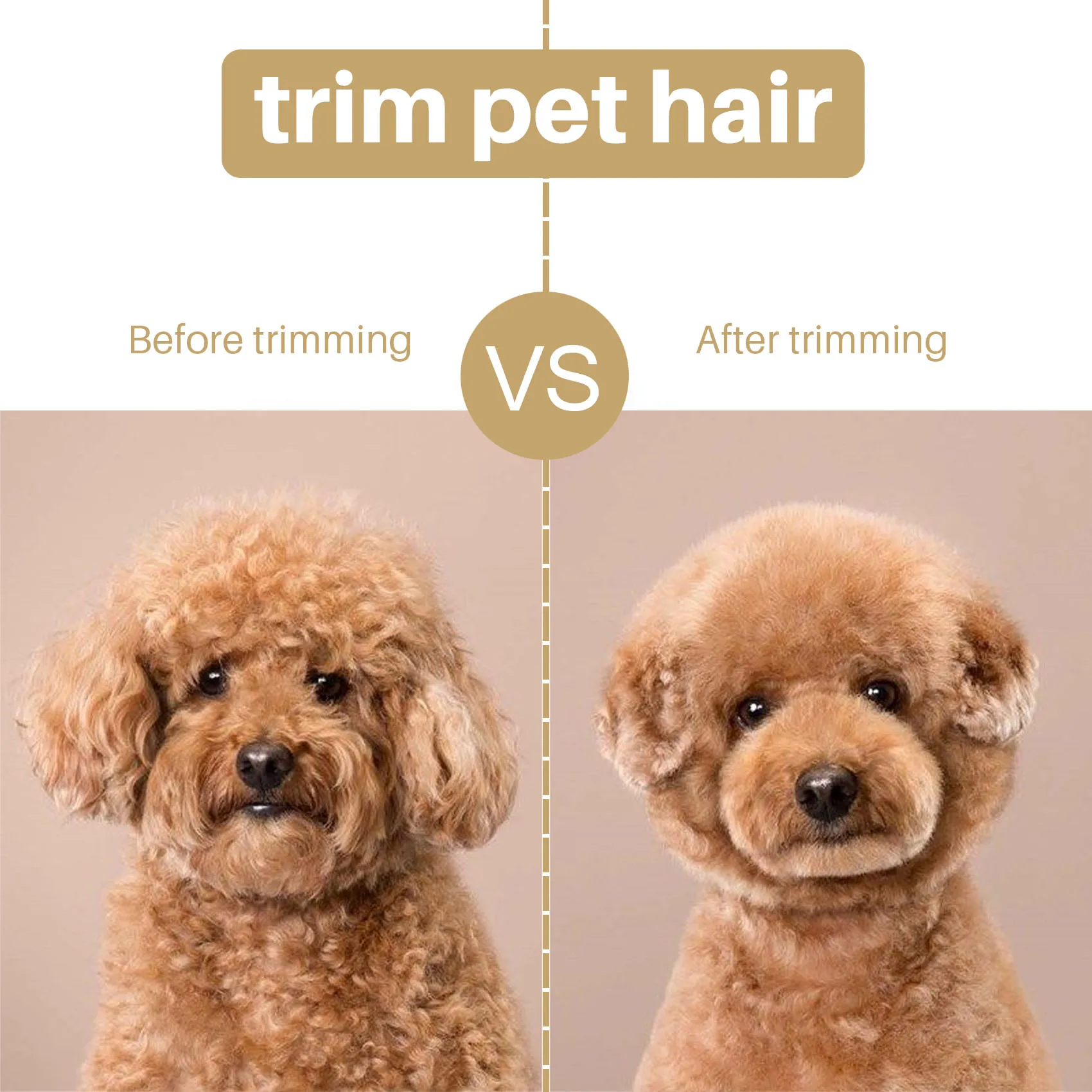 2Pc Hair Beard Replace Ceramic Blade Cutter Metal Bottom for Shear Clipper