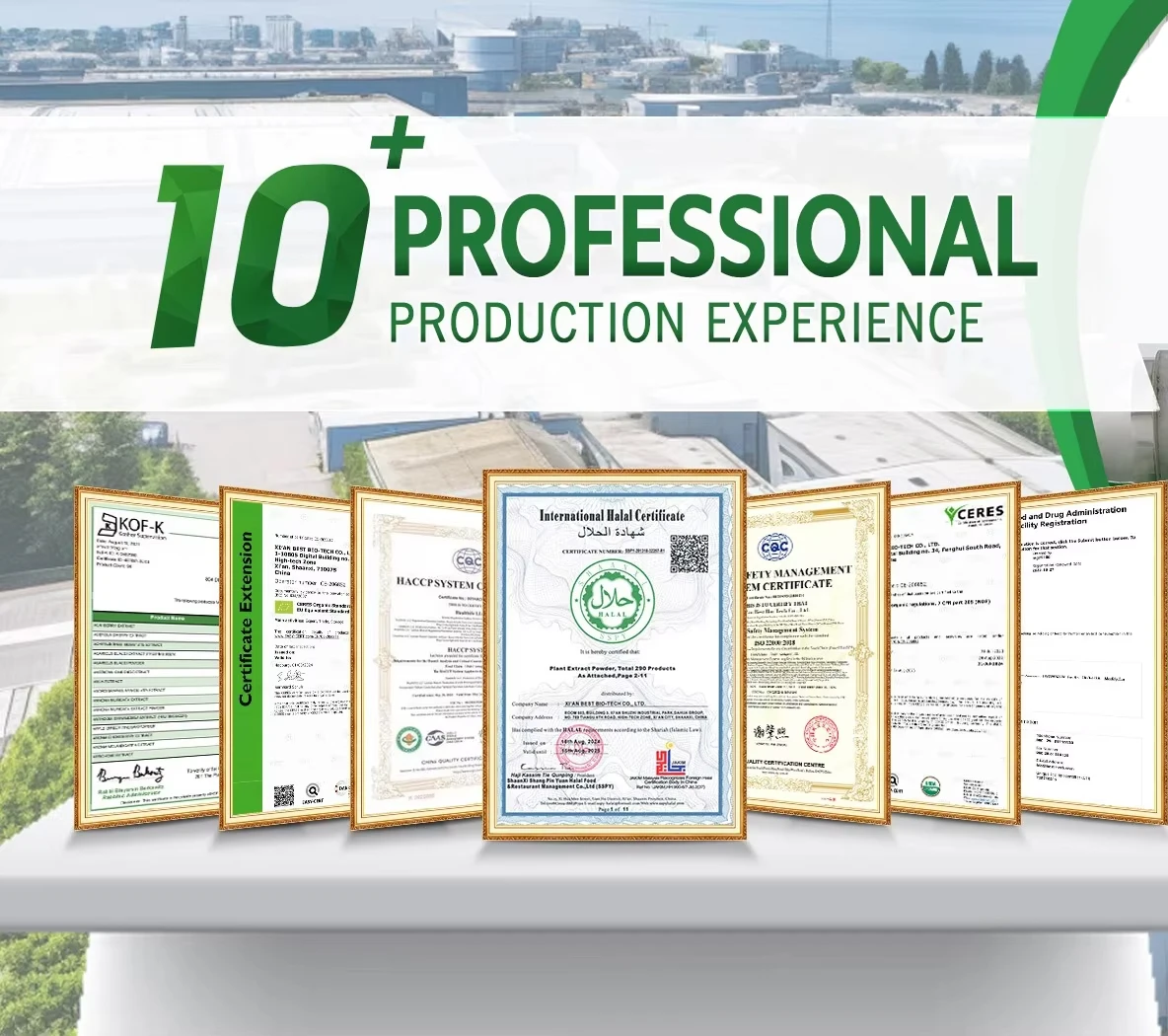 Gift Specific Link - Unique Gift Ideas