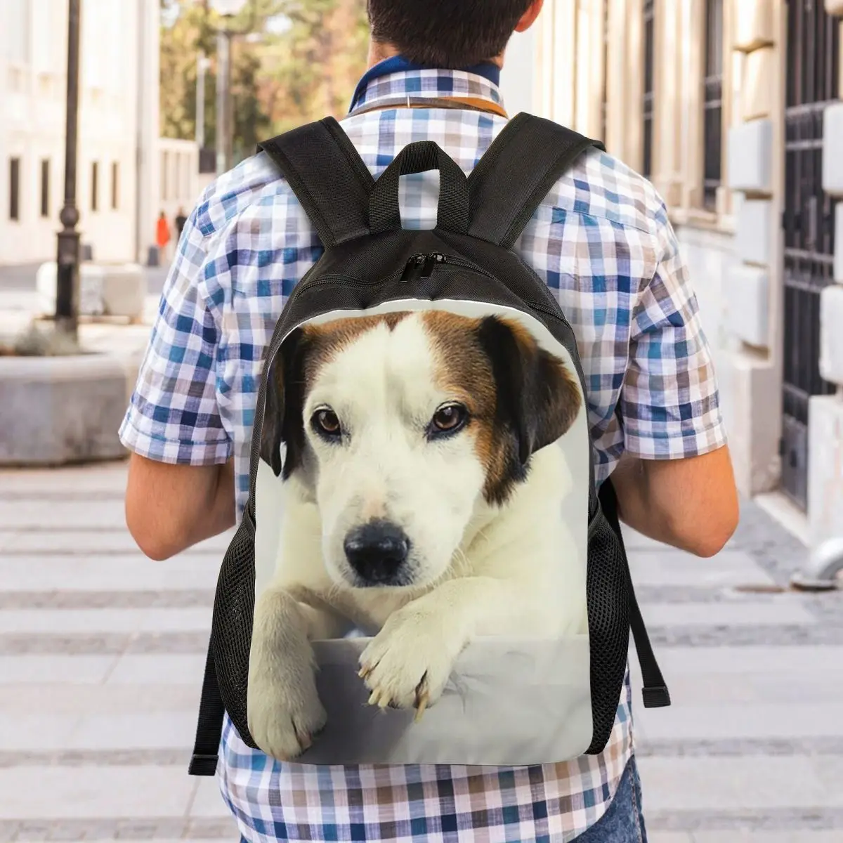 Dog Jack Russell Terrier Photo Backpack Student Boys Girls BookBag School Bag Computer Shoulder Bags