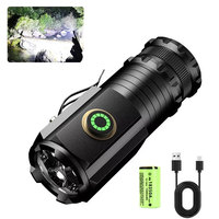 Rechargeable Pocket Handheld Flashlights With Pen Clip Portable Mini LED Emergency Torch Waterproof Hiking Camping Flash Light