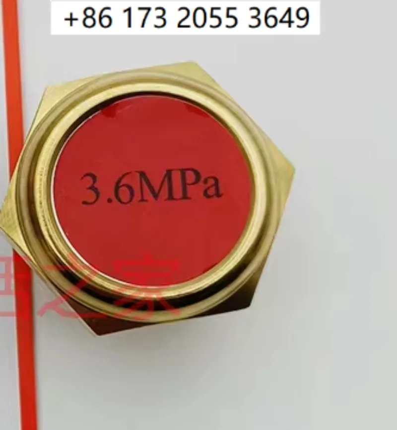 Bursting Disc 2.6MPa Low Pressure 3.6MPa High Pressure For Dewar Flask LNG Tank Valve Pressure Protection Component