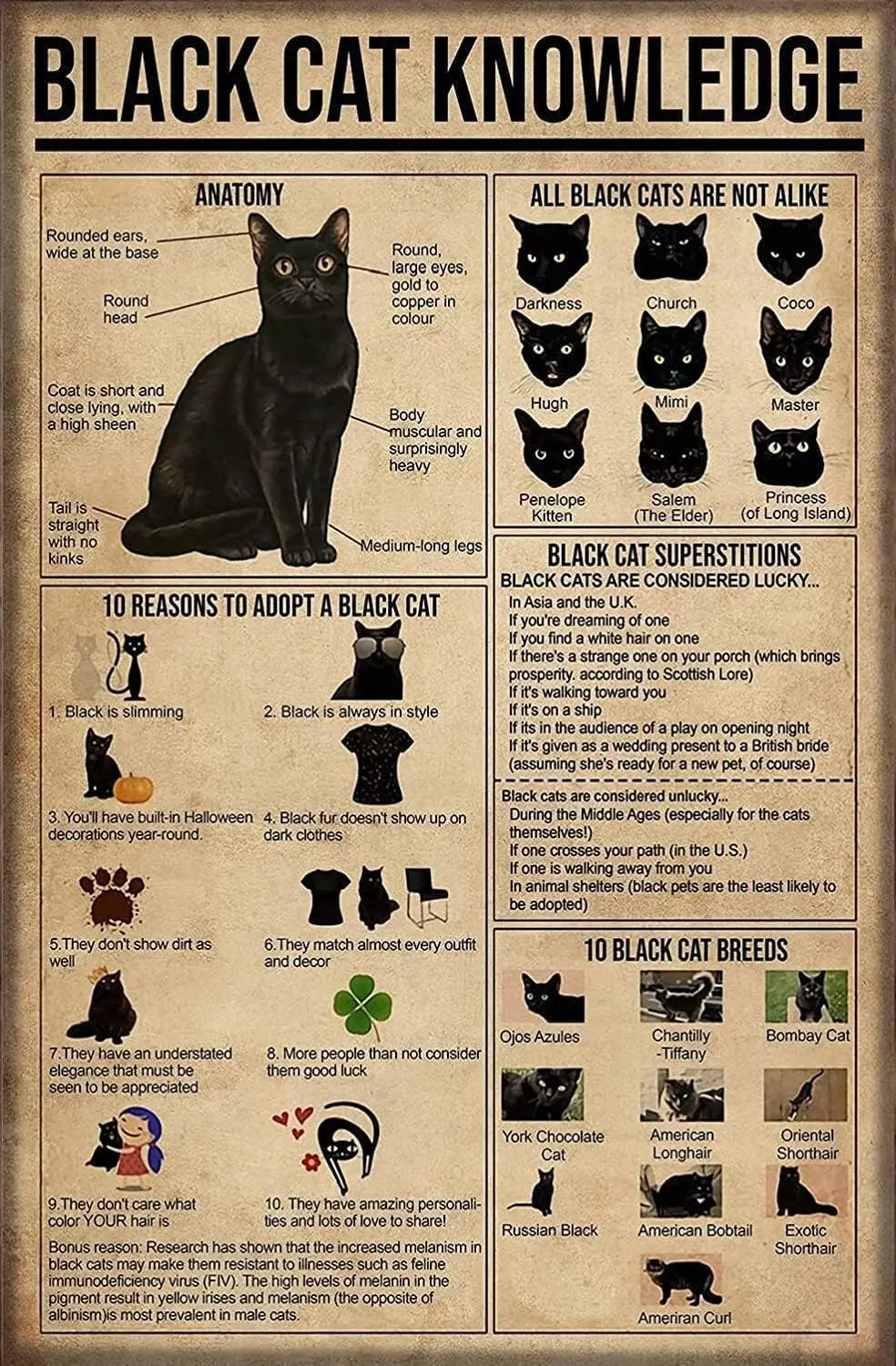 Black Cat Knowledge Metal Tin Sign 10 Reasons Toadopt A Black Cat Funny Poster School Education Cafe Living Room Bedroom Bathroo