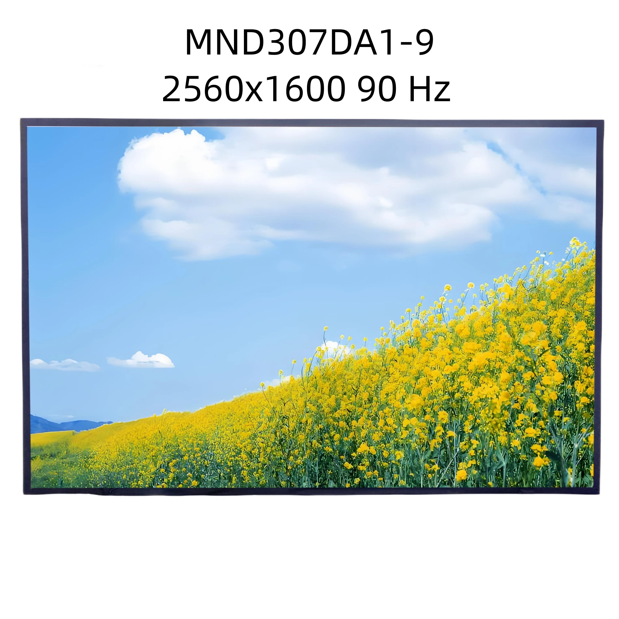 

13.3" MND307DA1-9 2560×1600 90Hz EDP IPS LCD LED Screen Panel Matrix