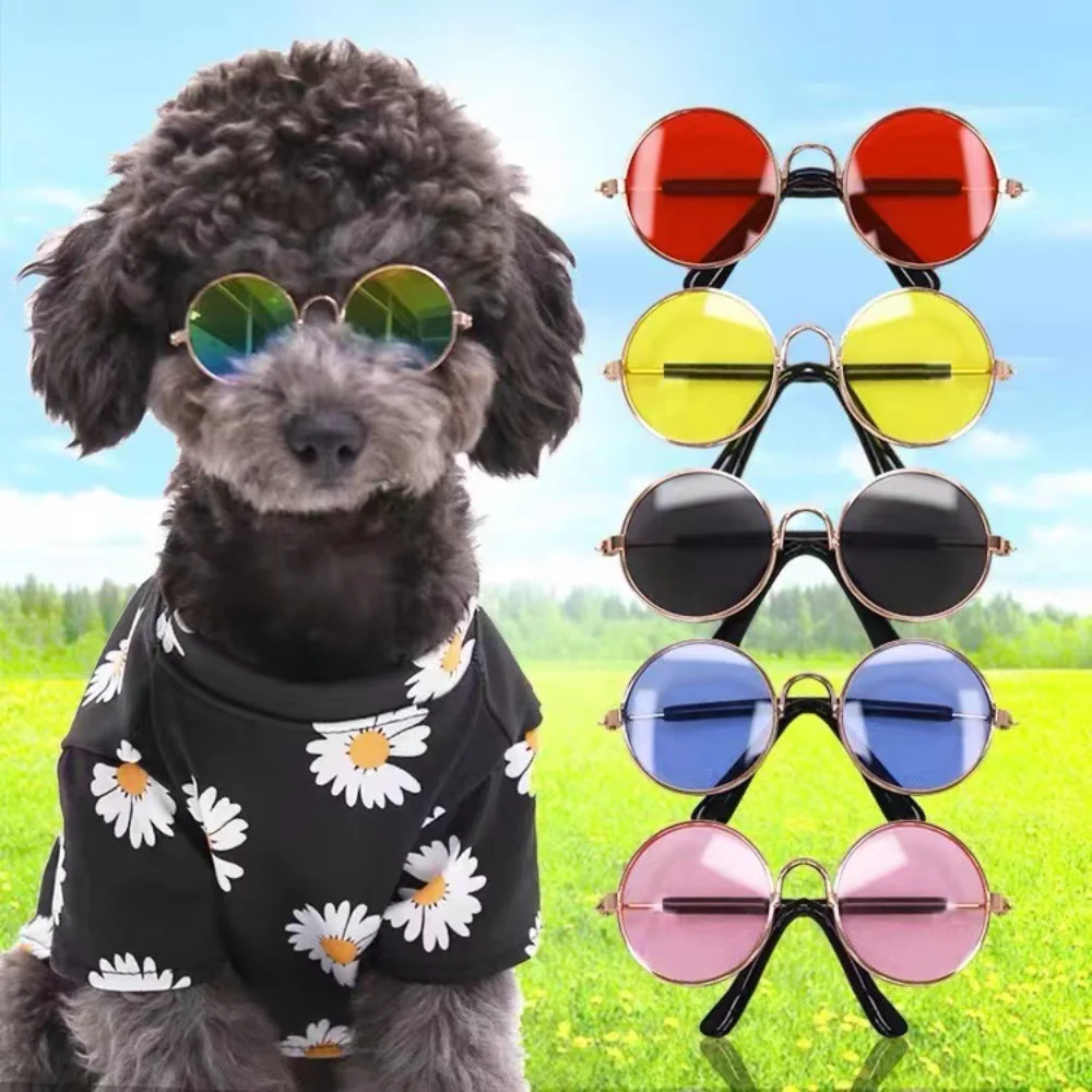 

Round Frame Photo Creative Trend Dog Sunglasses Retro Sunglasses Cat Fashion Toys