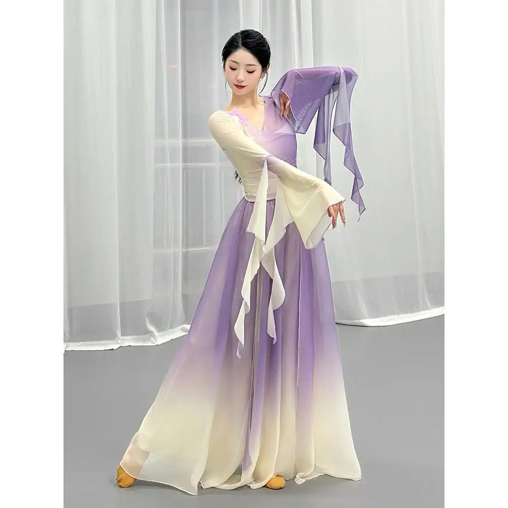 

Ele adual Tulle Dance Costume Classic Dance Practice Suit Fairy Aosphere Drifting Stage Performance Outfit