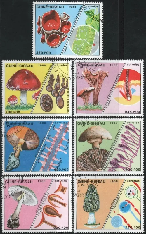 7 PCS,Guinea Bissau,1988,Mushroom Stamps,Plant Stamps,Cancell To Order,Post Stamp,Stamp Collection