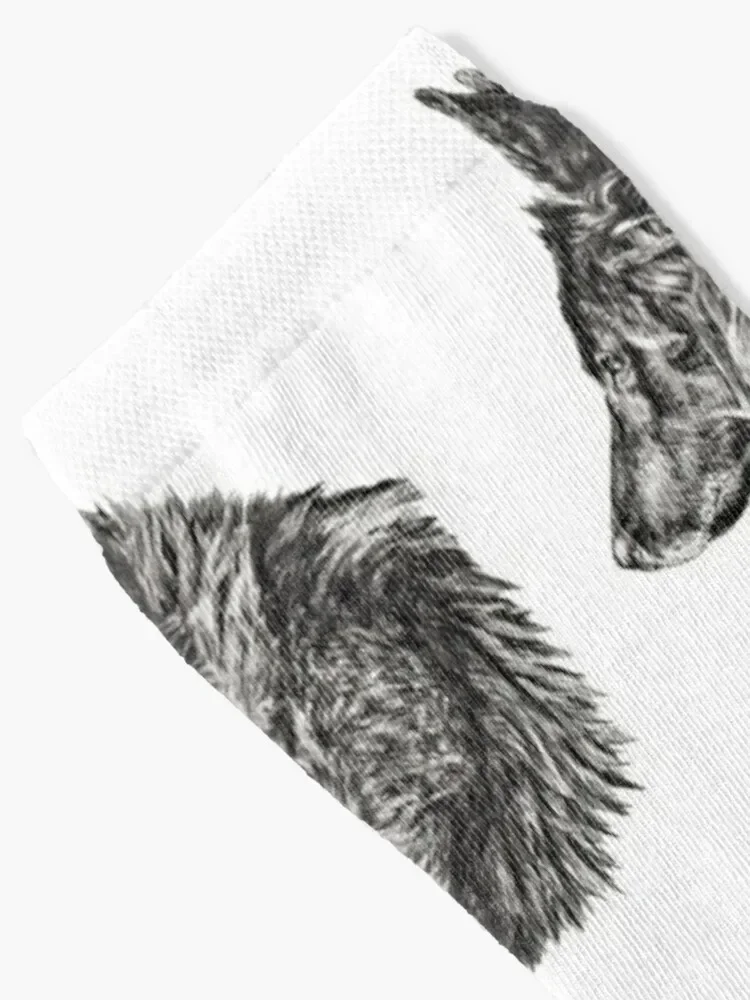 belgian shepherd dog groenendael Socks sports stockings sport Socks Women Men's