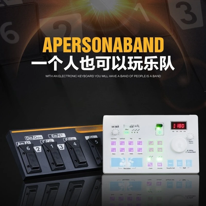 Electric pipe guitar, saxophone, electronic organ, piano, automatic backing track effector, singing live broadcast