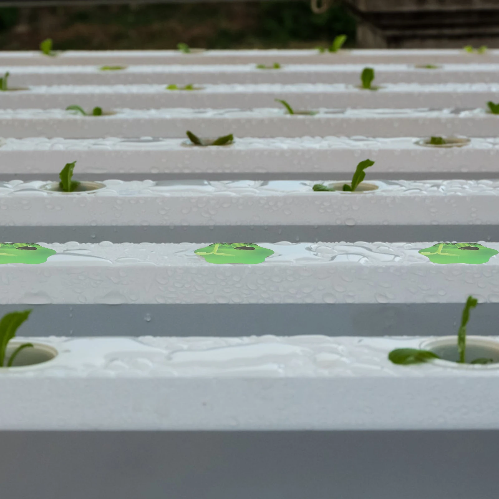 

100Pcs Hydroponic Pod Labels Green PVC Self Adhesive Plant Growth Stickers Garden Basket Markers Pod Label Kit