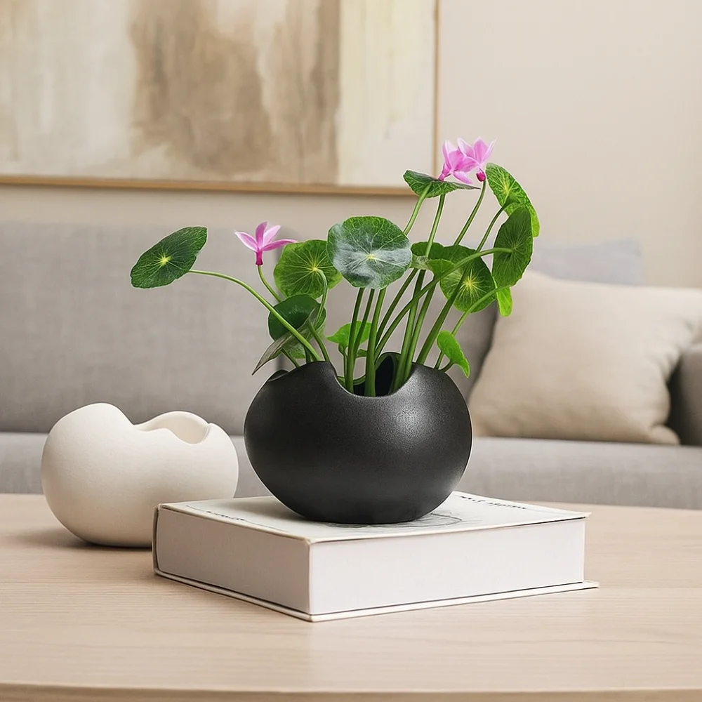 

Desktop Ornament Ceramic Flowerpot Broken Eggshells Shapes Decorative Succulent Plant Container Hydroponic Flower Holder Office