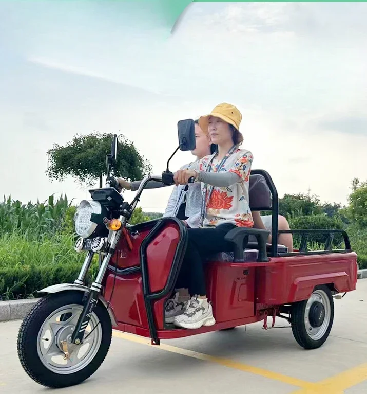 

Электрический трехколесный велосипед, вместимый пчелиный лицензионный для сельскохозяйственного бытового самоката для пожилых людей.