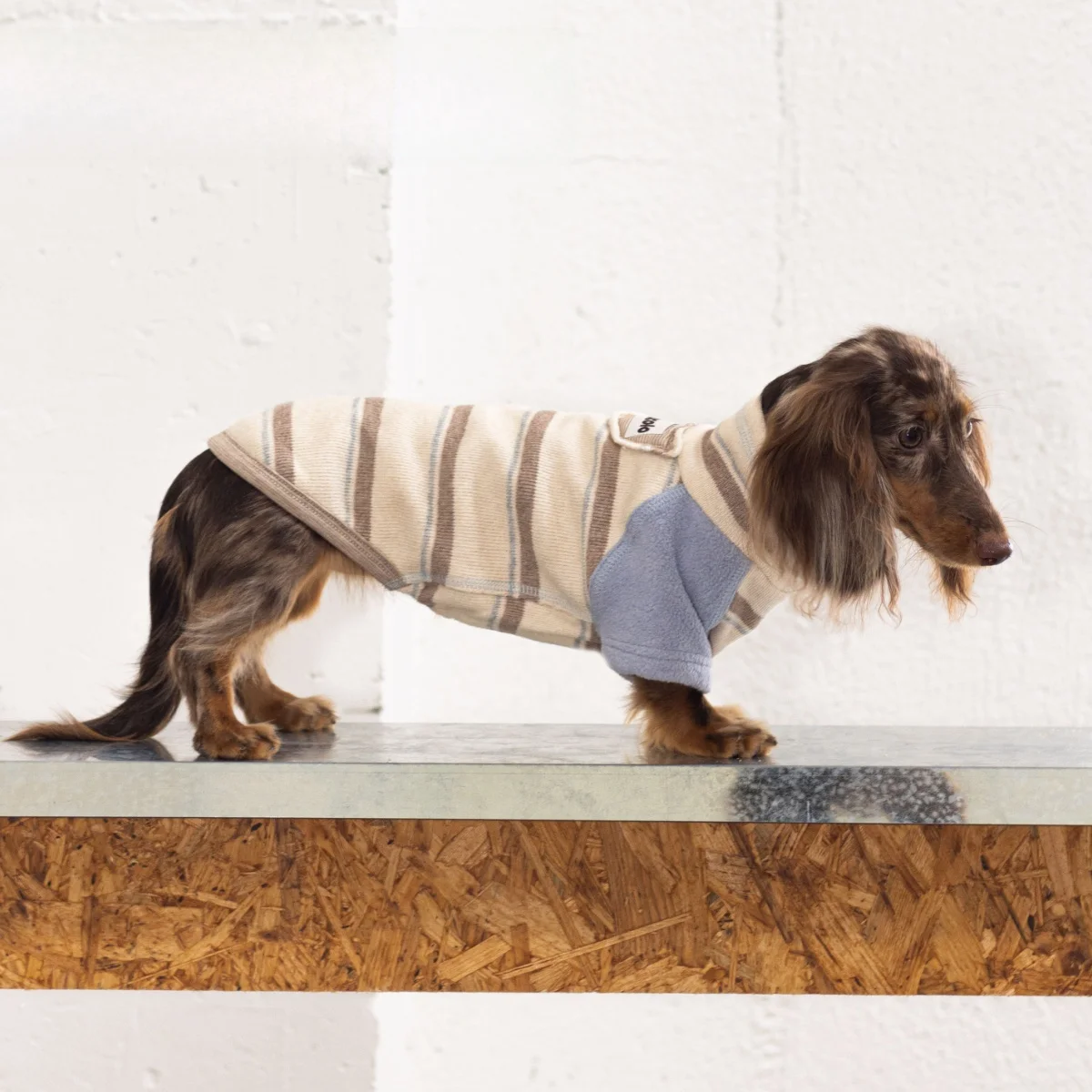 koccolo-pet-clothes-warm-cotton-fleece-heating-dog-two-feet-clothes-small-dogs-dachshund-winter-autumn-casual-style-pure