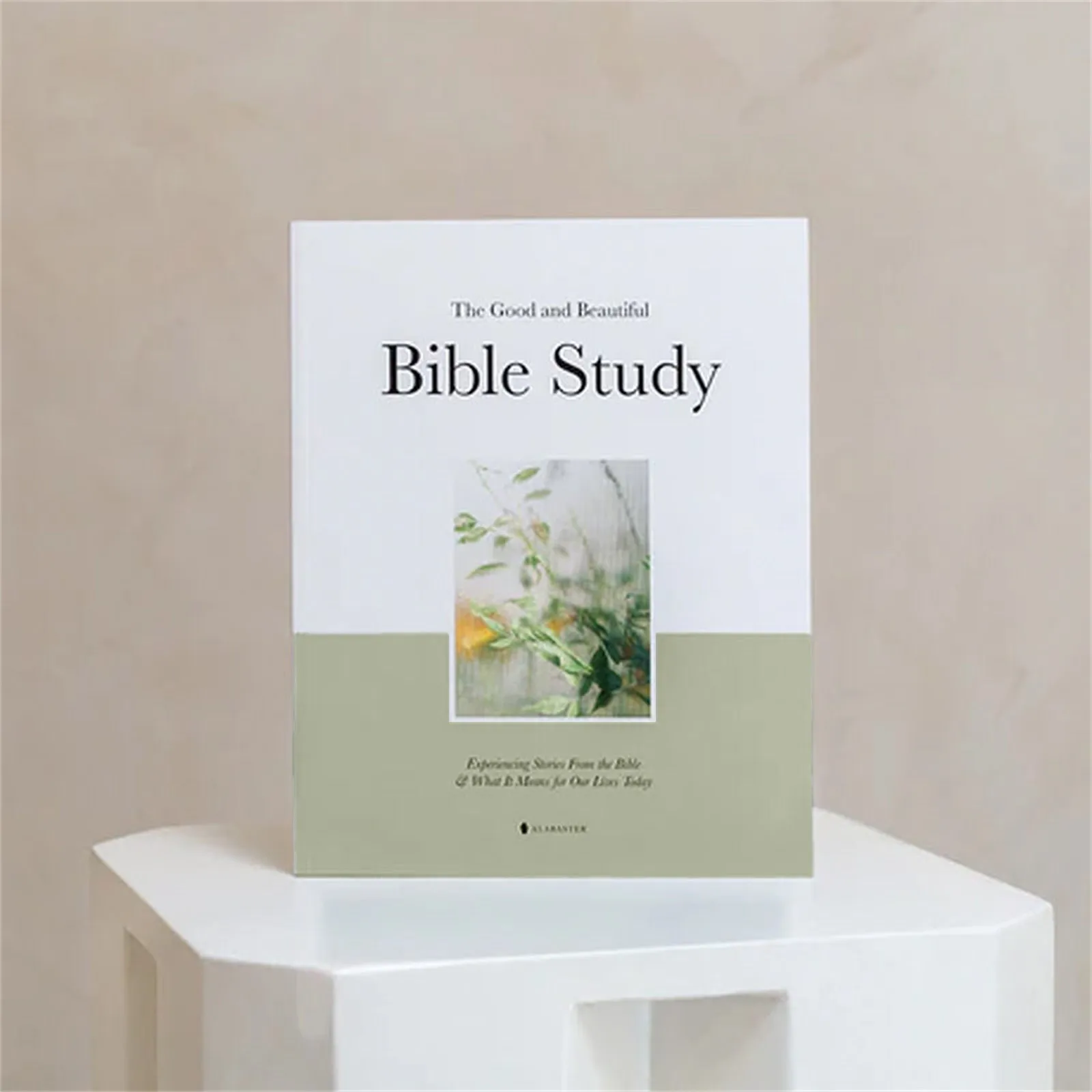 And Beautiful Bible Study Book:Experiencing Stories From The Bible And What It Means For Our Lives Today