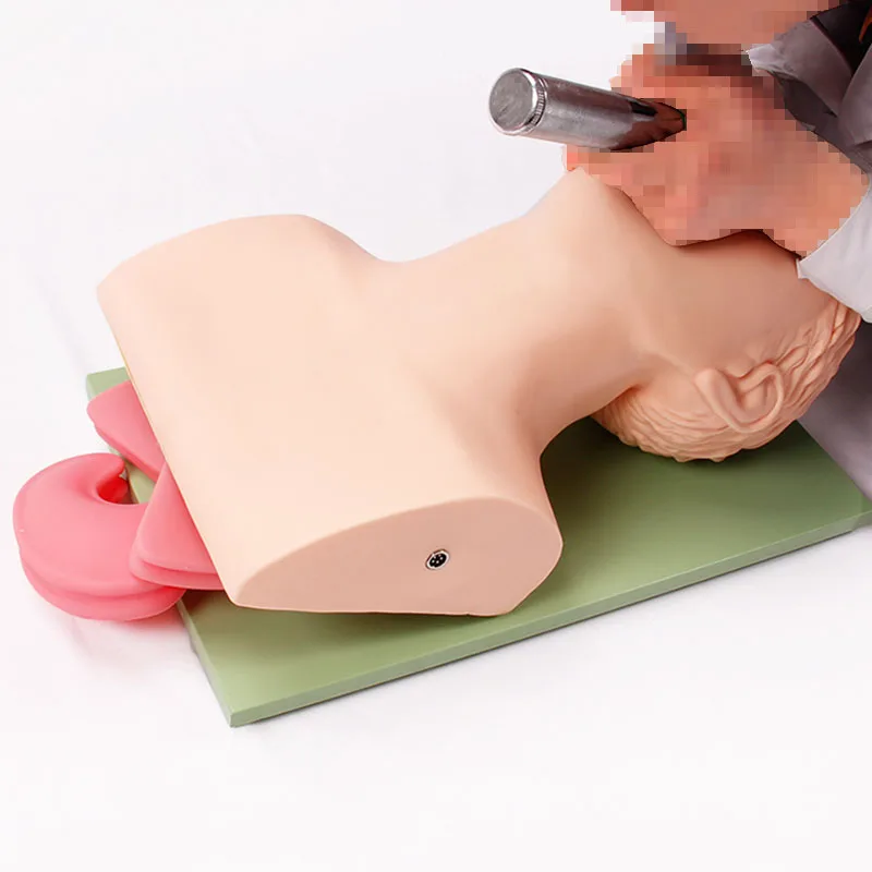DARHMMY-Intubação Endotraqueal Training Manequim com alarme de pressão dentária para adultos, modelo humano eletrônico