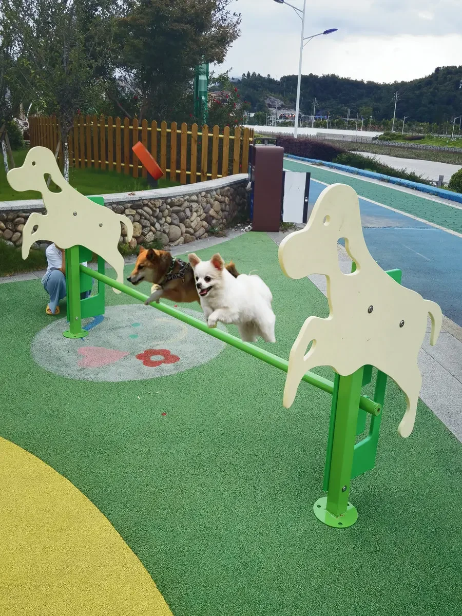 Pet dog outdoor development training hurdle jumping ring drilling bolt dog climbing toy agility training equipment