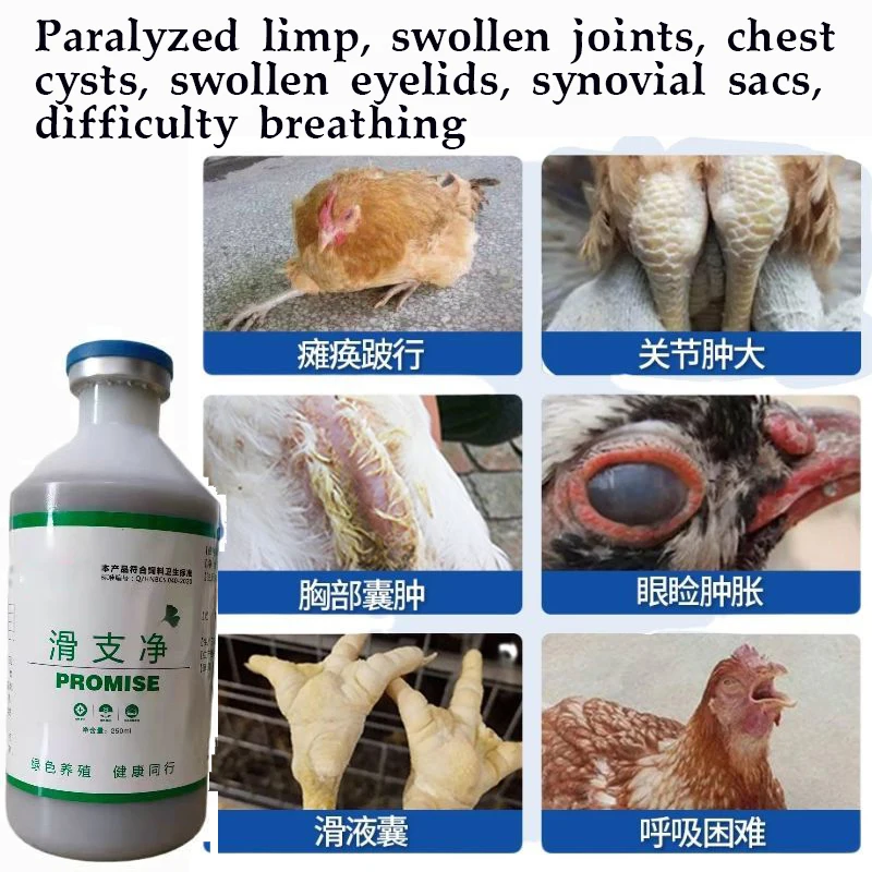 Chickens and Ducks, Swollen Joints, Cough, Snoring, Mycoplasma Bursa, Synovitis, Eyes Closed, Necking, Nutritional Supplements