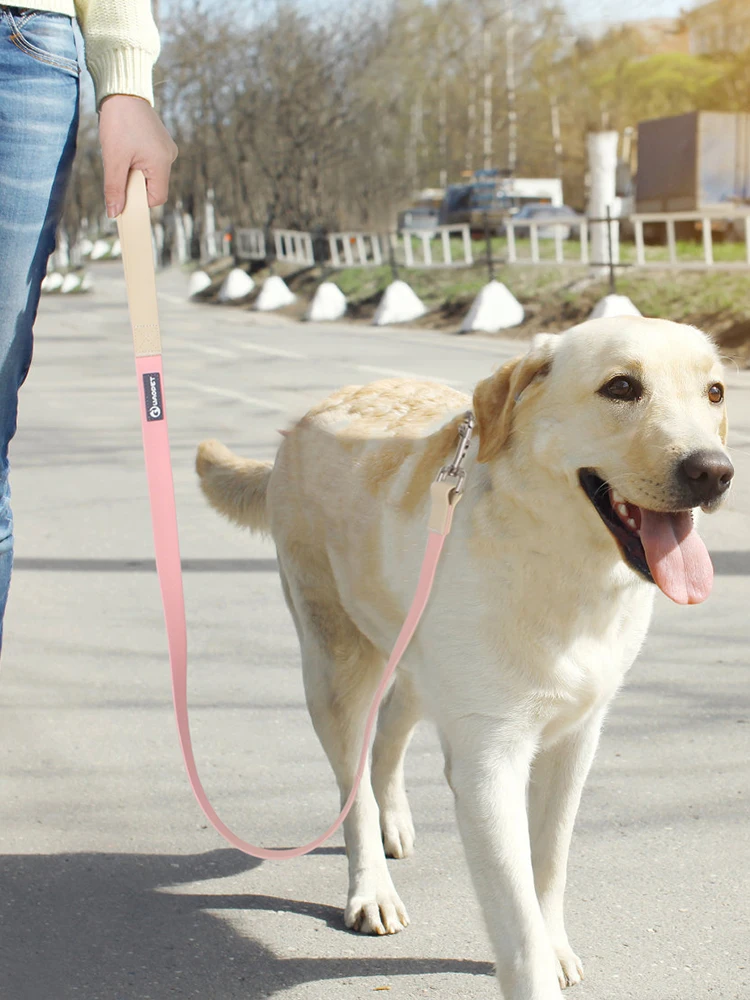1,2 m/1,5 m Luxus-PVC-Hunde leine wasserdichte, haltbare, starke Hunde leinen Macaron helle Hunde trainings leine für kleine große Hunde – Detail 10