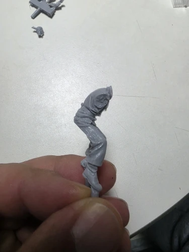 Buyer photo of this resin kit