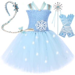 Blue Princess Elsa Costumes for Girls Christmas Snow Queen Ballet Tutu Dress for Kids New Year Outfit with Wig Braid Wand Gloves