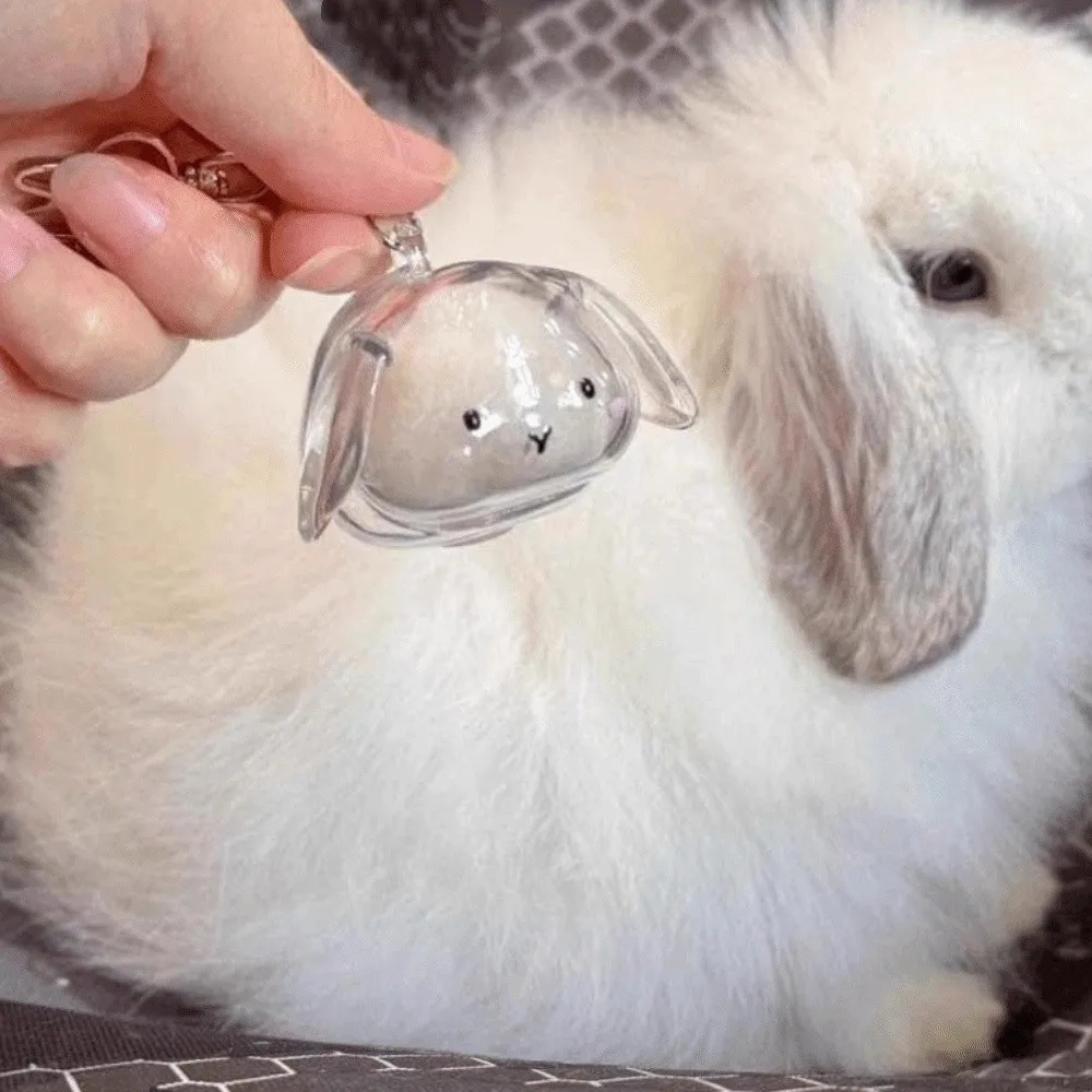 Transparent Acrylic Keychain Cat Hair Storage Capsule Animal Shaped Portable Rabbit Hair Storage Box Handmade Stylish