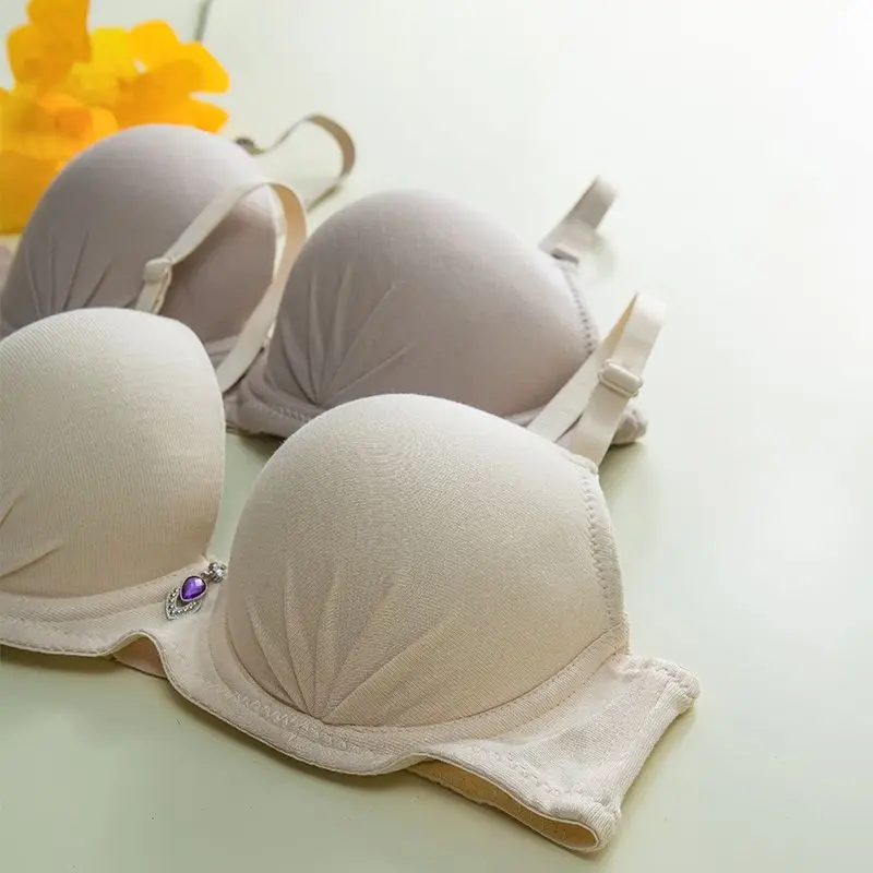 Small Chest Thickened Push-Up Bra Ultra Thick Side Gather No Empty Cup Underwire Side Breast Collection Bra Sweet Women's Bra