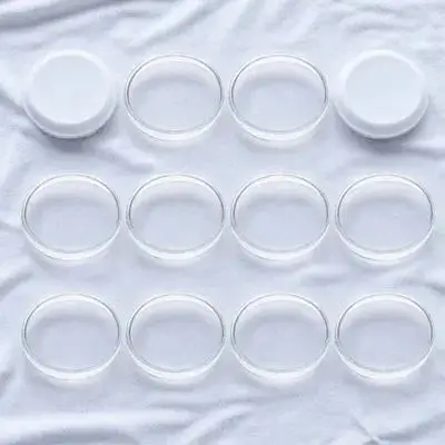 

10Pcs Petri Plates Transparent Lid Laboratory Chemistry Culture Dishes Agar Mushroom Plates Petri Dish Culture Dish
