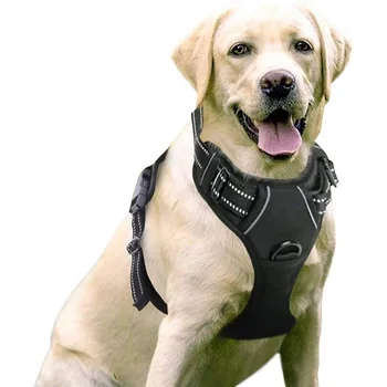 Leather Dog Harness Set 3