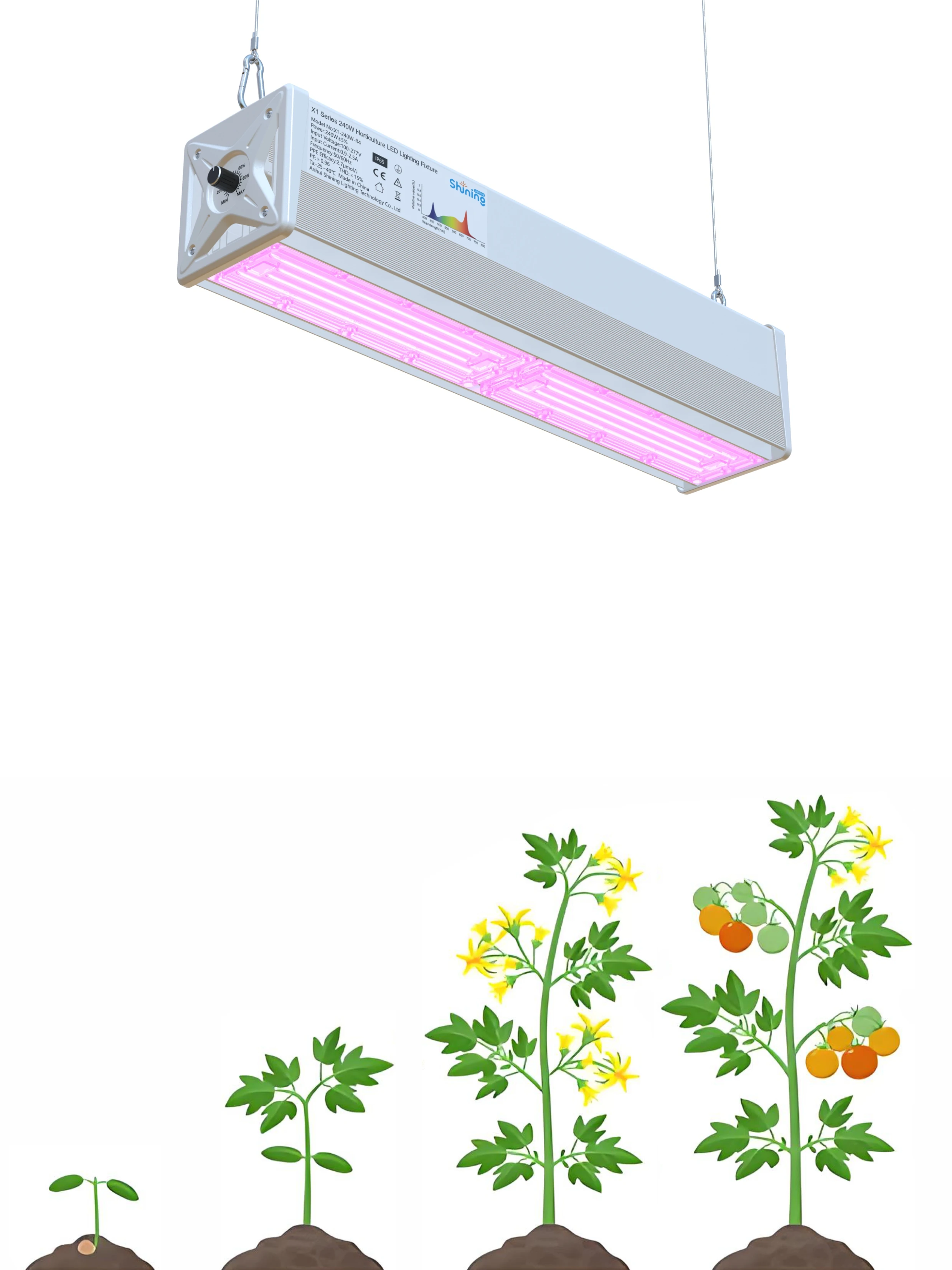 

Shining Lighting Full Spectrum LED Grow Lights 240W for Seedling, Flowering, Fruiting – Indoor Plants, Greenhouse