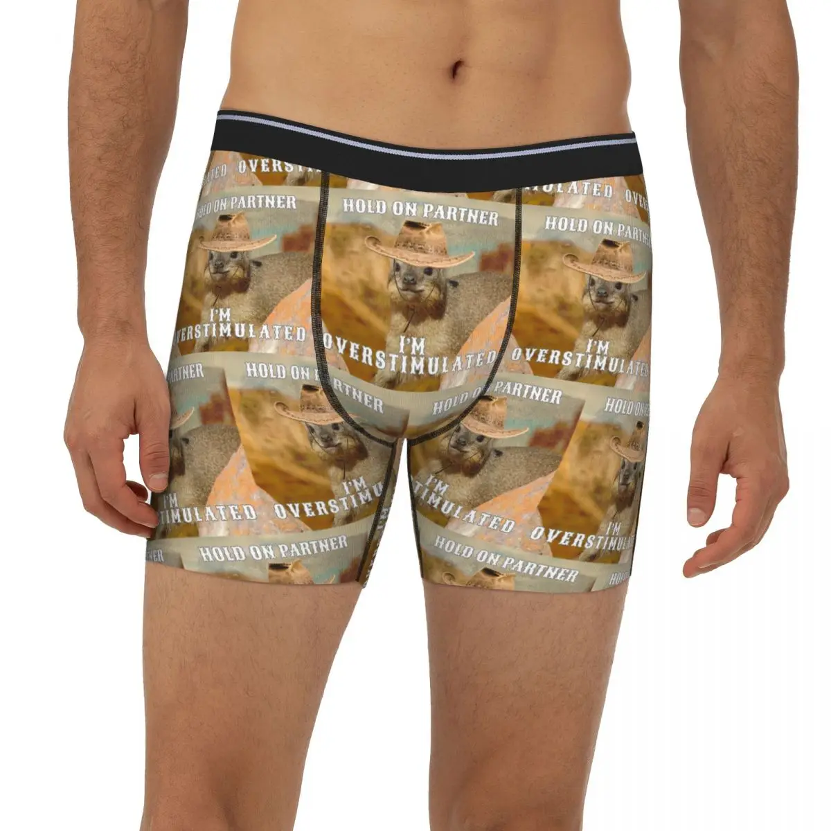 

Hold On Partner I'm Overstimulated Rock Hyrax Long Boxer Underpants Short Male Panties Soft Underwear Homme Man Boyfriend Gifts