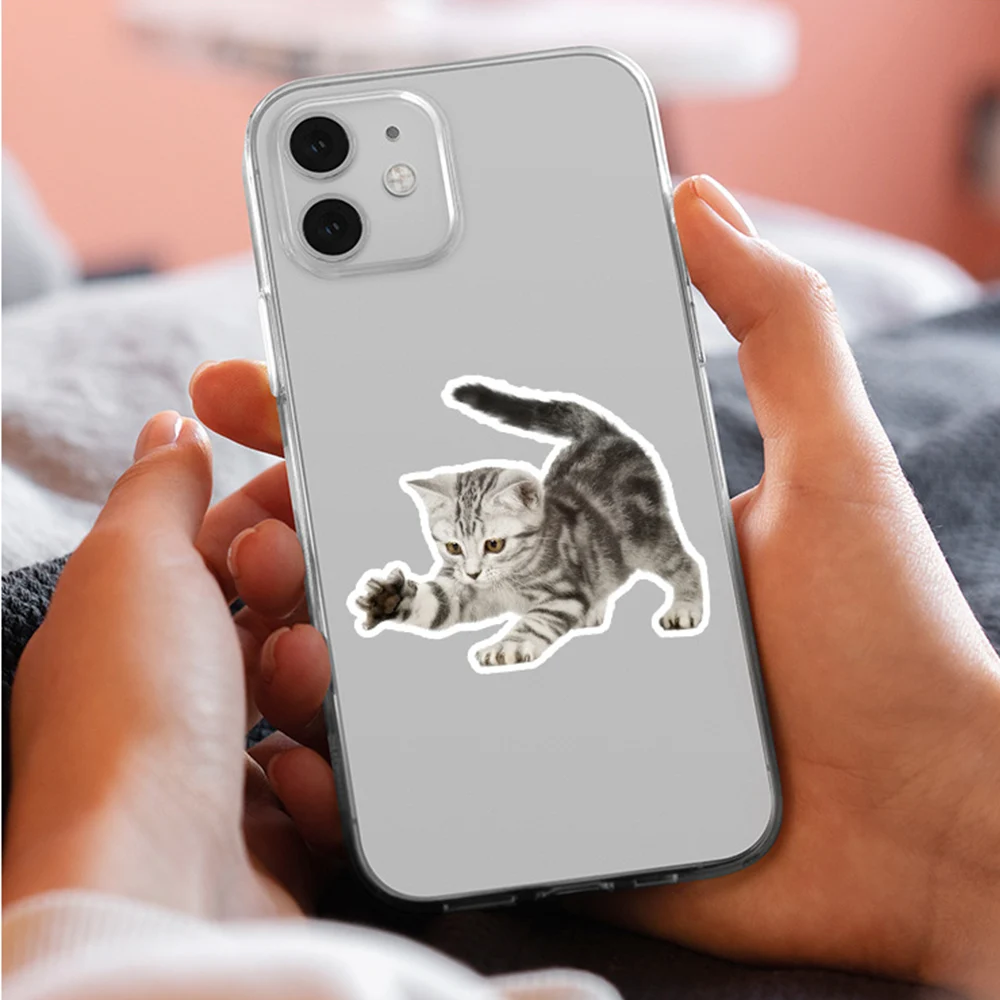 10/30/50/100 قطعة Kawaii القط الكرتون ملصقات مضحك لطيف الحيوان هريرة ملصق DIY بها بنفسك سكرابوكينغ المحمول الدراجة الكتابة على الجدران الشارات اللعب