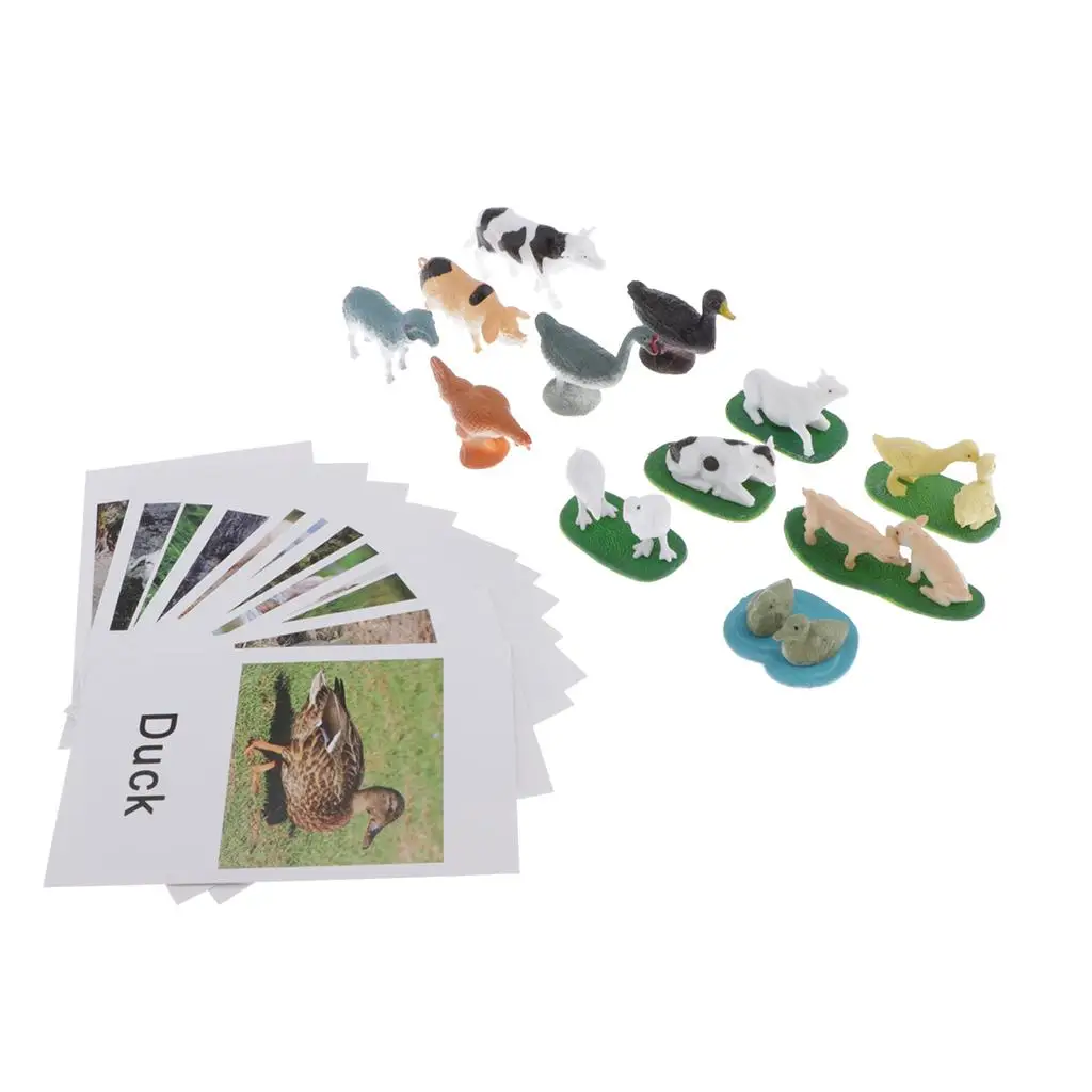 Montessori Animal Match Card - Miniature Farm Animals with Matching Cards - Kids