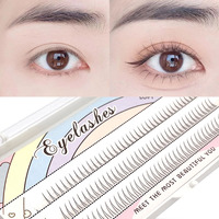 Individual Lashes 120 Clusters V-Shaped Lower Eyelashes 5/6/7mm Natural Lower Under Eyelash Easy Grafting Makeup Extension Tools