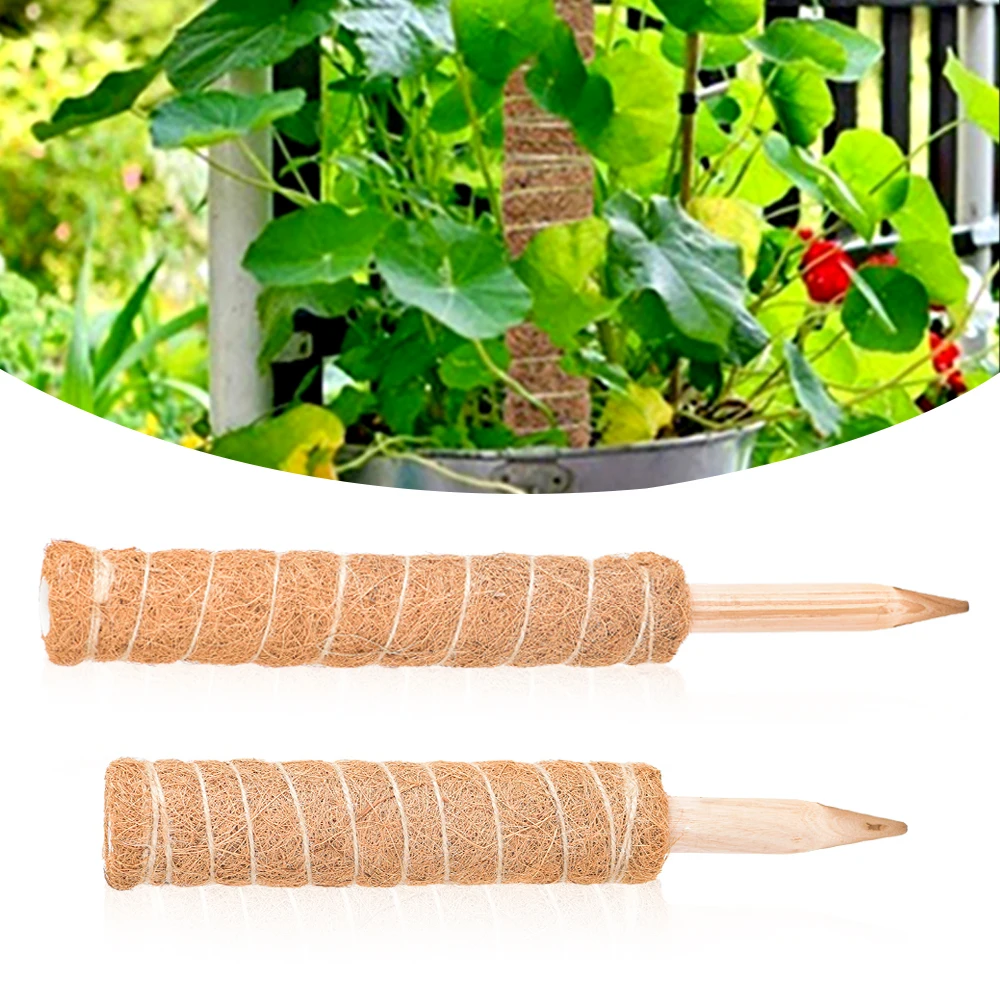 Poste de musgo para plantas trepadoras de interior, enredaderas para cultivar plantas hacia arriba, soporte para plantas con lazos de jardín, 30/40cm