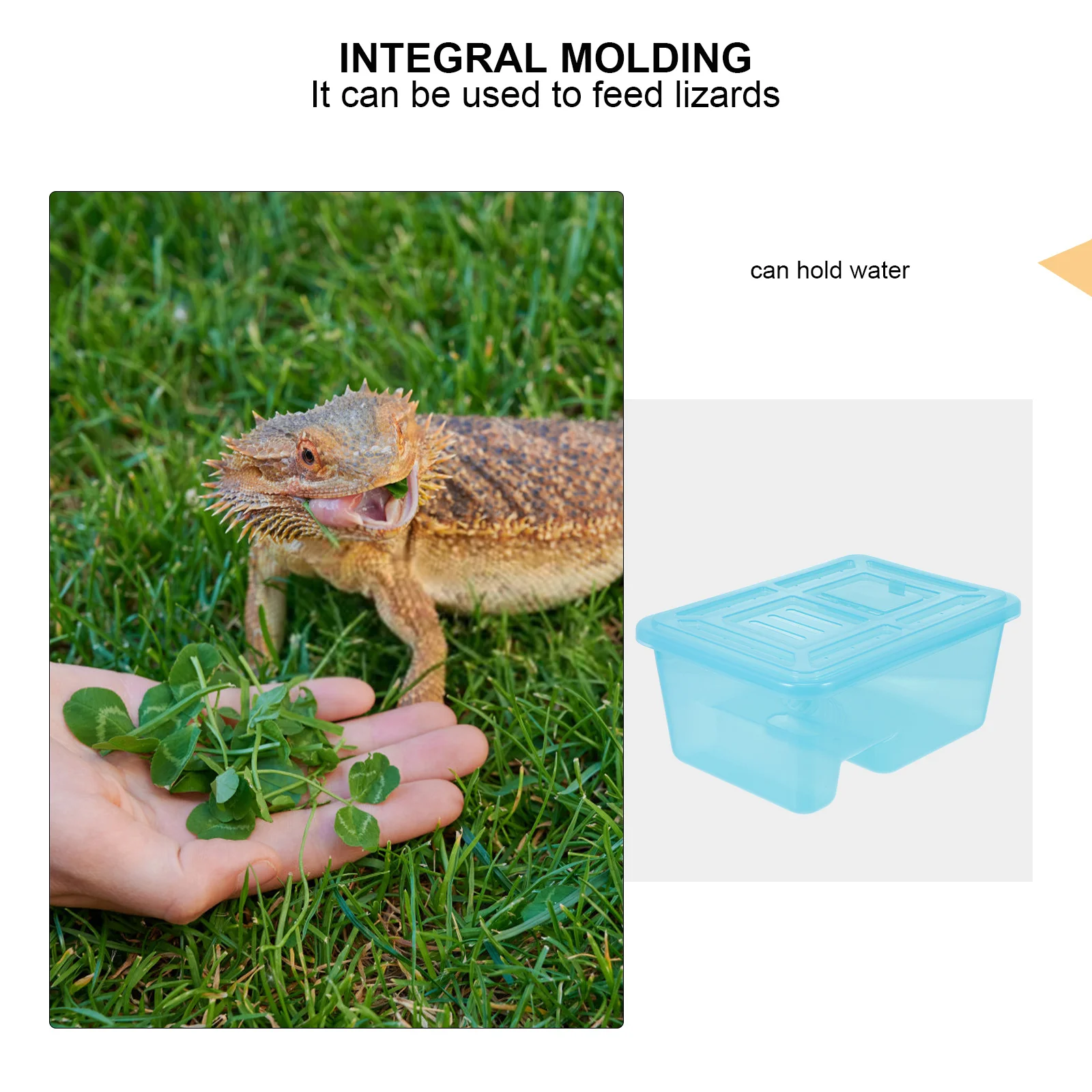 

Turtle Tank Durable Plastic Tortoise Feeding Box Turtle Drying Platform Reptile Breeding Box Reptiles Habitat Tortoise Terrace