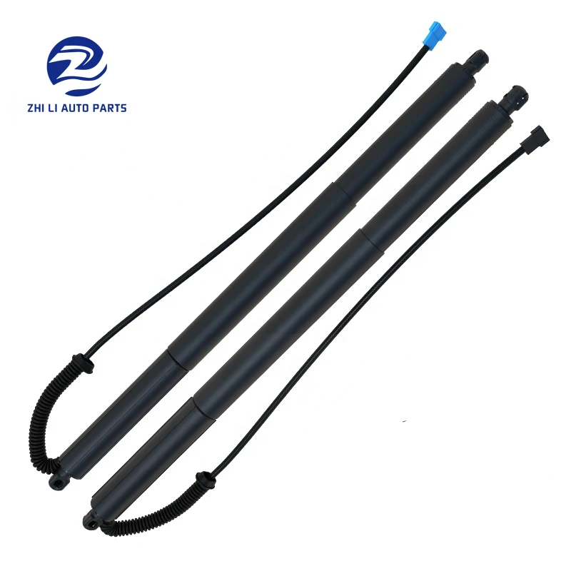 

2x Rear Tailgate Power Lift Supports For BMW F25 X3 2015 2014 2013 2012 2011 51247232003 51247232004