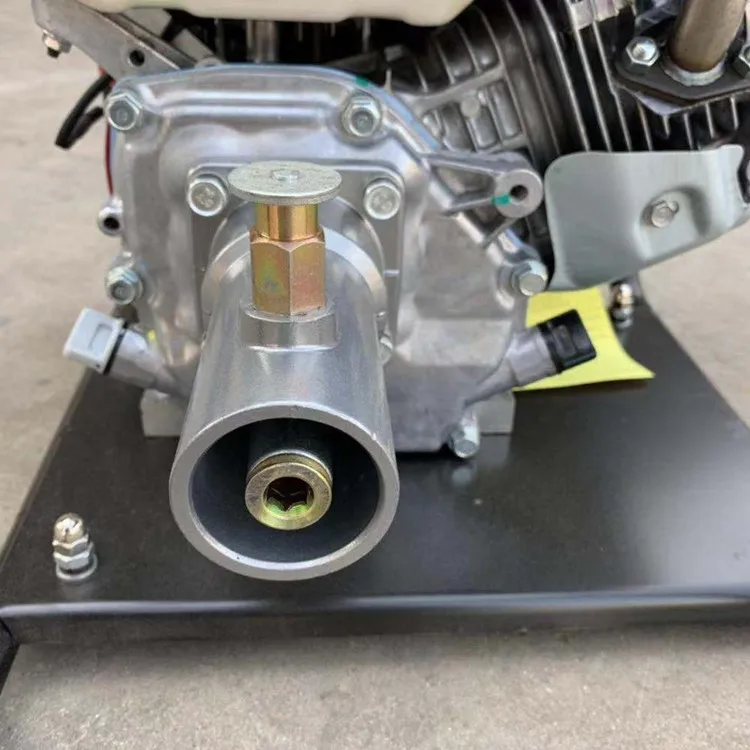 10m3/h فيبرور روبن هزاز باليد هزاز الخرسانة البناء الكهربائية هزاز الخرسانة #3