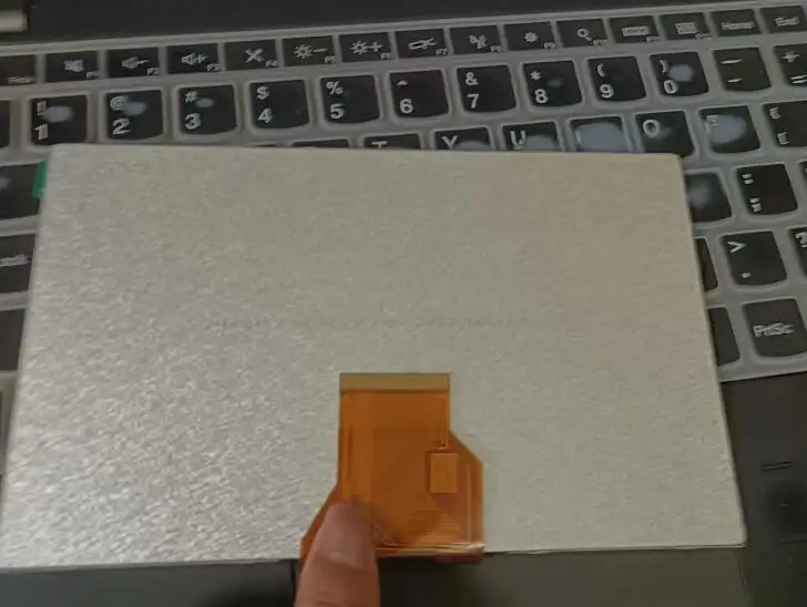 thumb