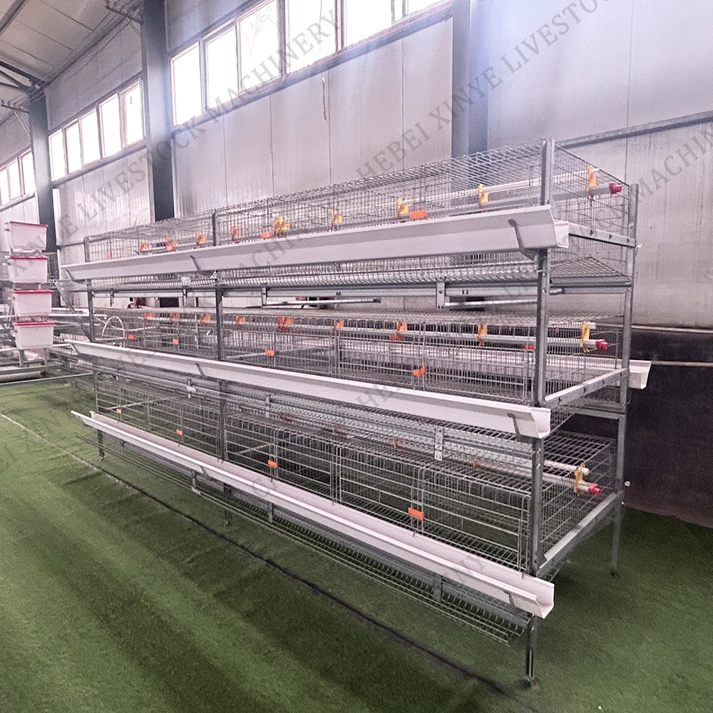 New H Type 3/4 Tier Layer Cage with 1 Year Warranty  Hot Dip Galvanized Steel Long Service Life for  Africa Egg Farms