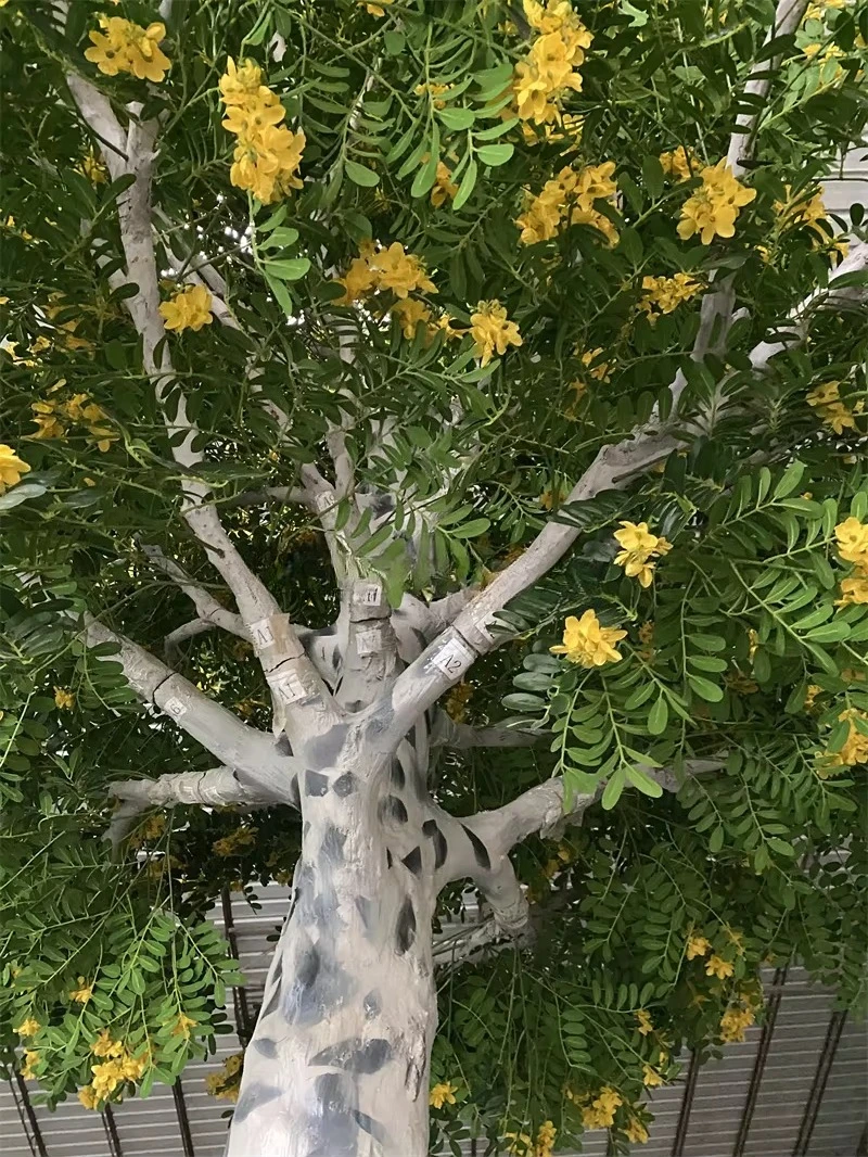 #￥Large Plastic Simulated Locust Tree Durable Indoor Decor Home Garden Mall Exhibition Hall Hotel Stage Landscaping Quality