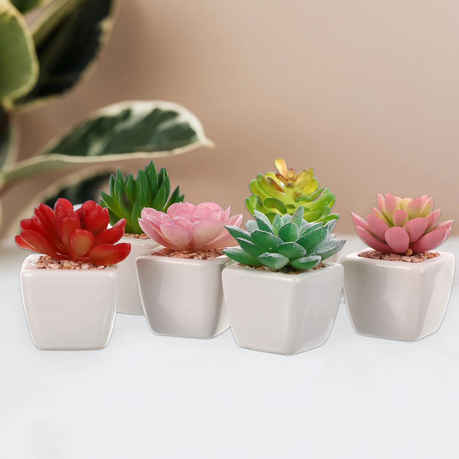 6-pieces-de-plantes-succulentes-artificielles-mini-bonsais-en-pot-simulation-de-plantes-vertes-de-bureau-decoration-moderne-mini-bonsais-en-pot-en-ceramique