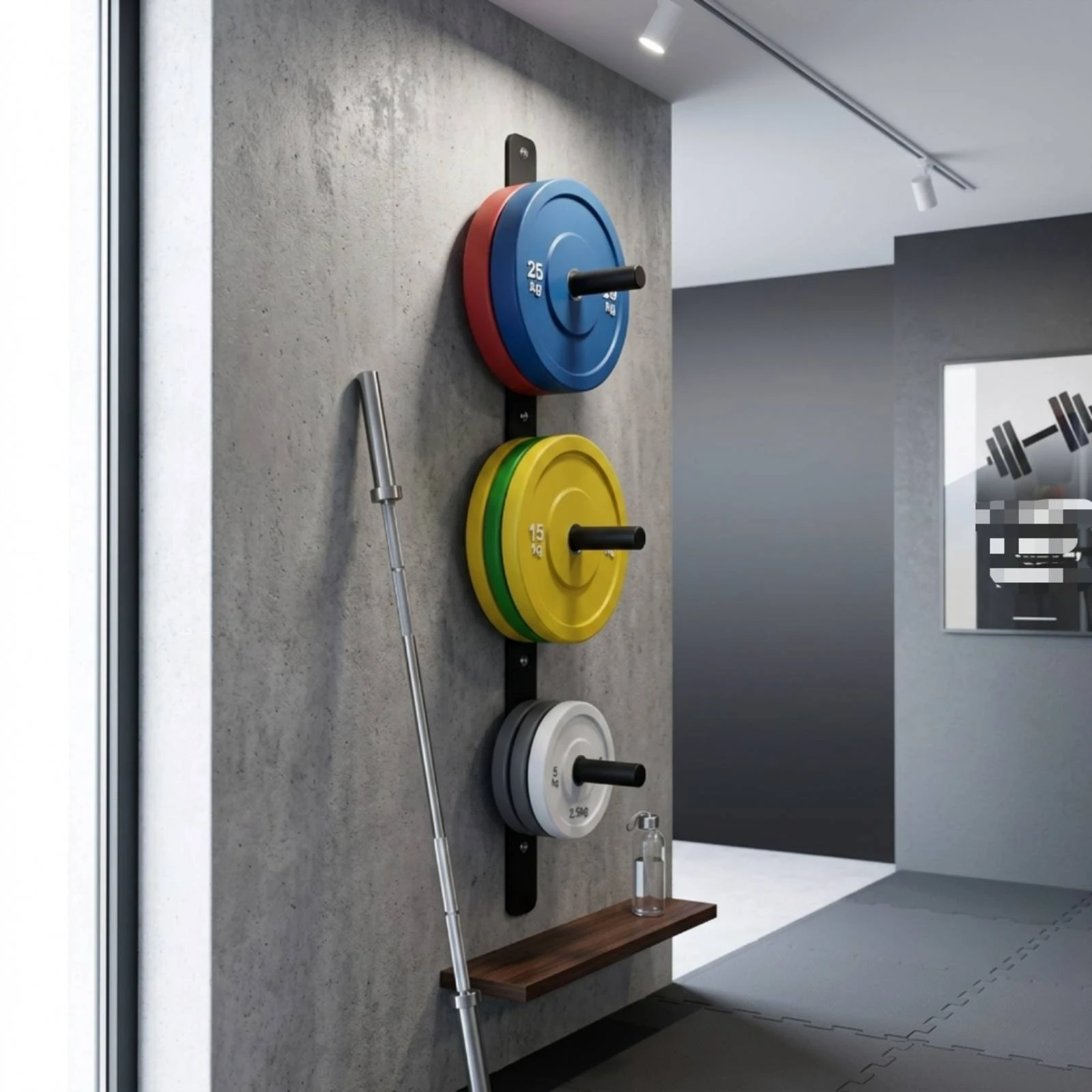 Weight Plate Storage Rack Space-Saving Wall Mounted Weight Plate Storage Rack Gym Organizer with Peg Arms Compact Rust Resistant