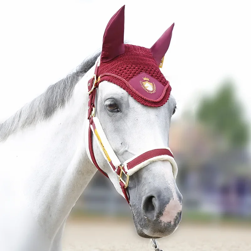 Attrezzatura equestre della copertura della gabbia del cavallo della cavezza resistente all'usura