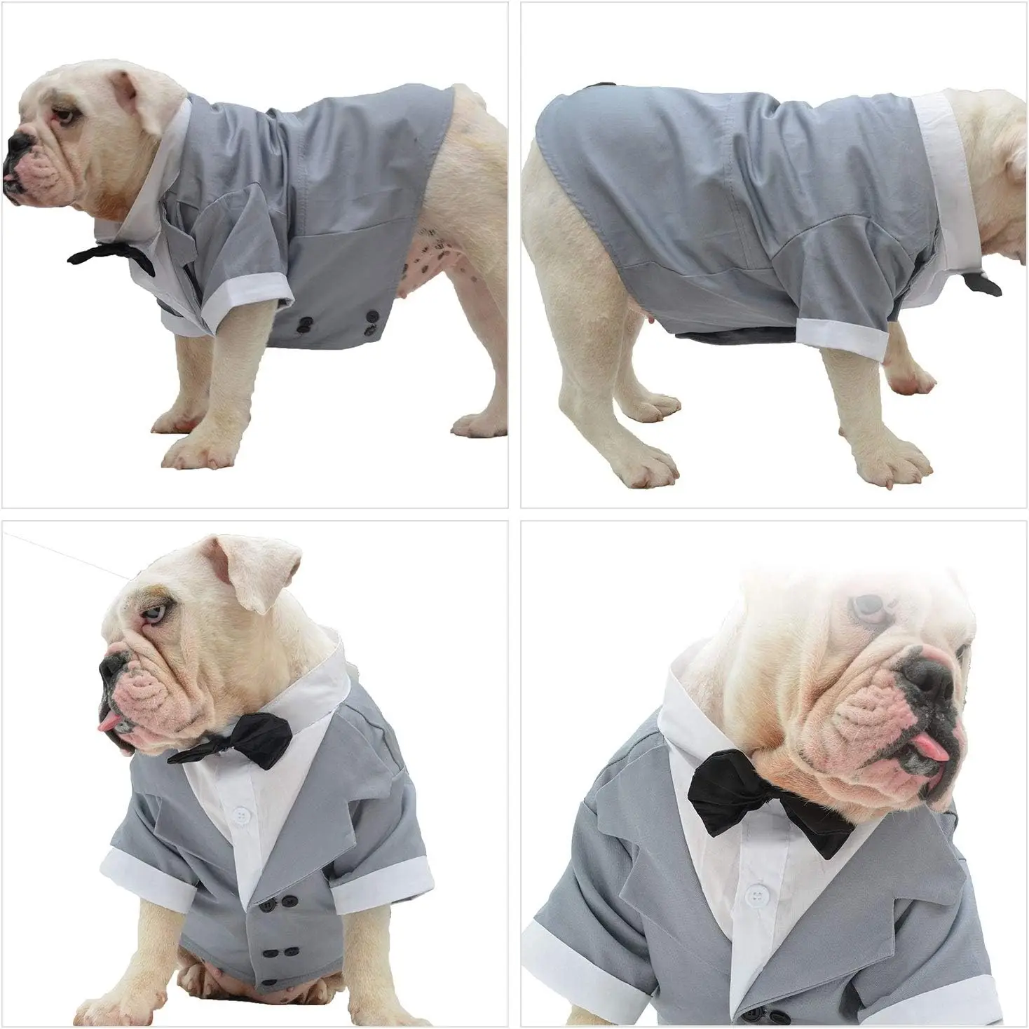 Formal Tuxedo Costume with Bow Tie for Dogs, Dog Suit, French Bulldog, English Bulldog, American Pit Bull