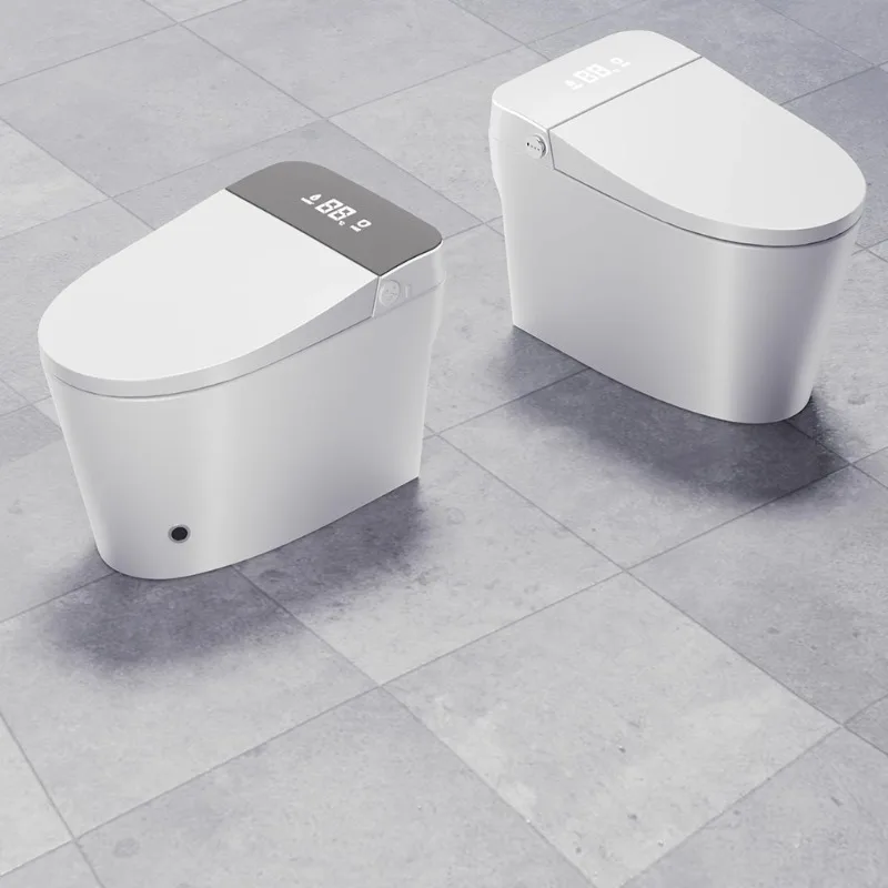 Japanese Sanitary Smart Toilet Unique Seat Cover Uk Organizer Smart